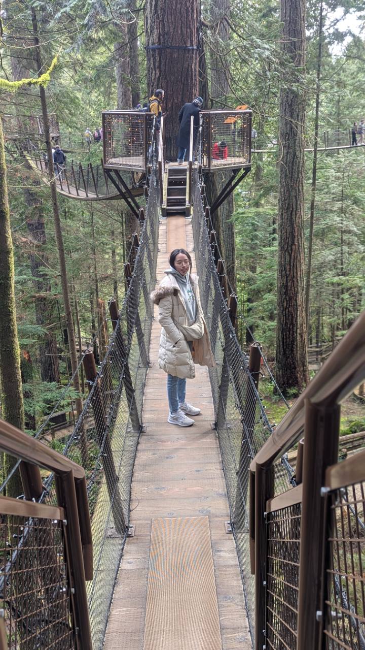 Your photograph of an elevated wooden walkway leading to a platform around a large tree